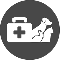 insurance-round
