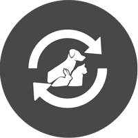 replacement-round